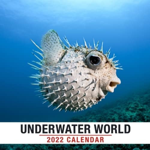 Colorful Underwater World Calendar 2022: "Marine, beautiful, For Fan of wide ocean, deep sea. Mini PlannerJanuary 2022 - December 2022 OFFICIAL ... Calendrier12 Months | BONUS 4 Months 2021"