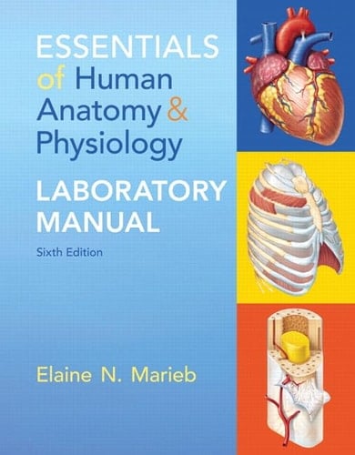 Essentials of Human Anatomy and Physiology Laboratory Manual Loose Leaf