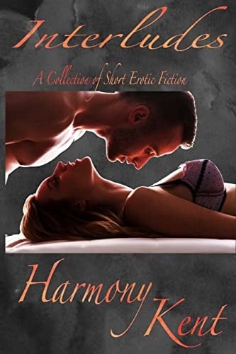 Interludes A Collection of Short Erotic Fiction