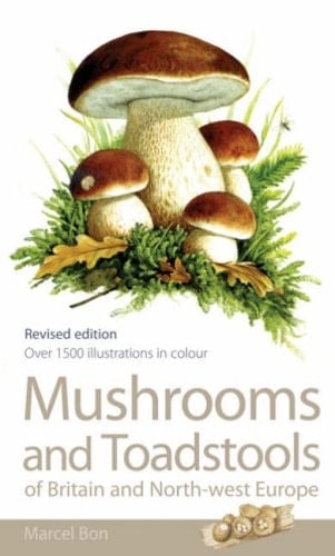 Mushrooms and Toadstools of Britain and North-West Europe