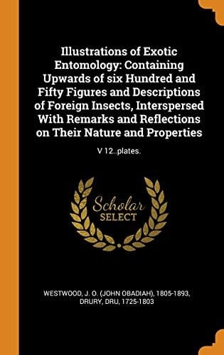 Illustrations of Exotic Entomology Containing Upwards of Six Hundred and Fifty Figures and Descriptions of Foreign Insects, Interspersed with Remarks and Reflections on Their Nature and Properties: V 12..Plates.