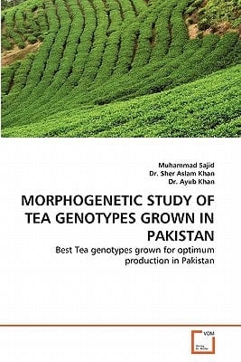MORPHOGENETIC STUDY OF TEA GENOTYPES GROWN IN PAKISTAN: Best Tea genotypes grown for optimum production in Pakistan