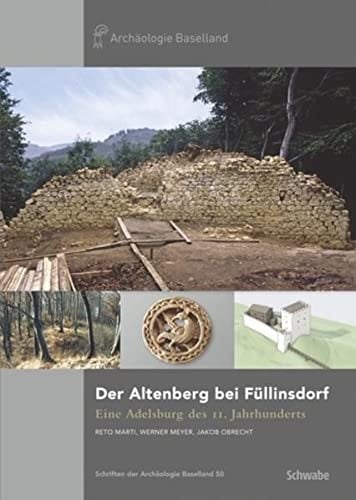 Der Altenberg bei Füllinsdorf eine Adelsburg des 11. Jahrhunderts