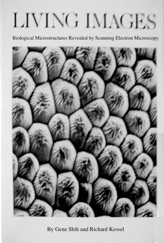 Living Images Biological Microstructures Revealed by Scanning Electron Microscopy