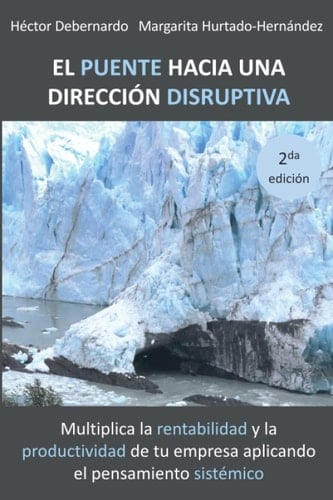 El puente hacia una dirección disruptiva: Multiplica la rentabilidad y la productividad de tu empresa aplicando el pensamiento sistémico (Spanish Edition)