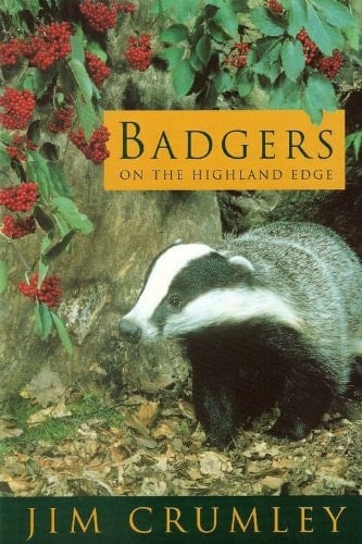 Badgers On Highand Edge