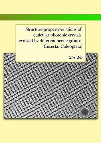Structure-property-relations of cuticular photonic crystals evolved by different beetle groups (Insecta, Coleoptera)