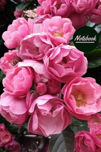 Pink Rose Notebook Composition Notebook