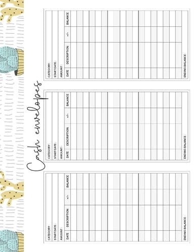 Cash Envelopes: 165 Insert Sheets That You Can Cut Size 3x6 Inches Easy It Is To Set Up Your Own Cash Envelope System for Colorful Cactus Lover