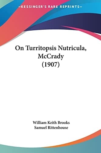 On Turritopsis Nutricula, McCrady (1907)