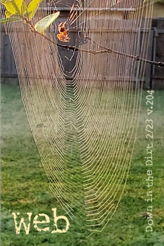 Web: 2/23 Down in the Dirt, v204