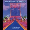 Wwwunderkammer An Evolving Project by Carla Gannis