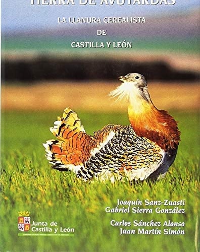 Tierra de Avutardas La Llanura Ceralista de Castilla y León