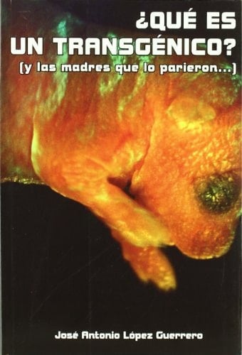 ¿Qué es un transgénico? y las madres que lo parieron...