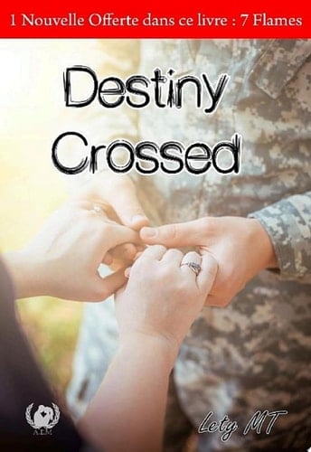 Destiny Crossed Romance