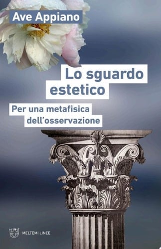 Lo sguardo estetico Per una metafisica dell’osservazione