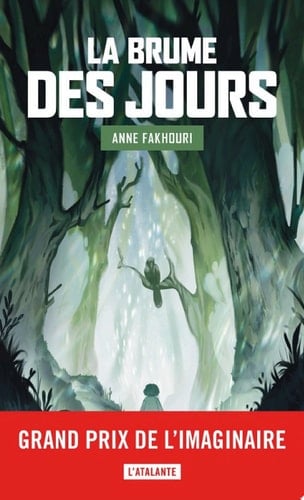 La Brume des jours Le Clairvoyage, T2