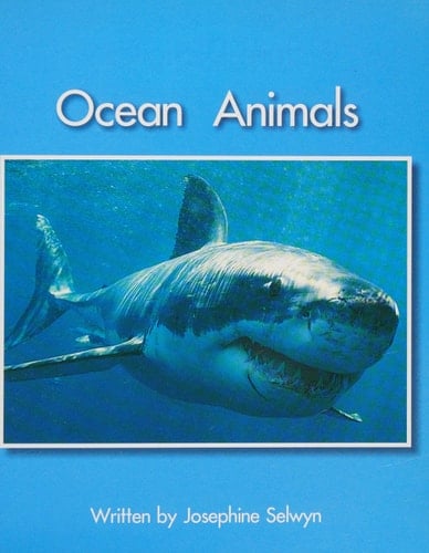Ocean Animals