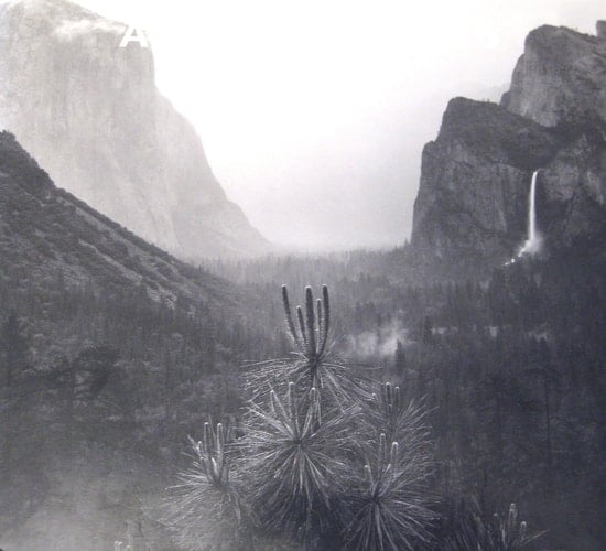 Ansel Adams: In the Lane Collection.