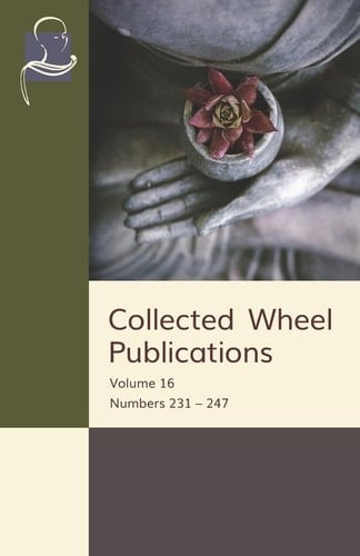 Collected Wheel Publications Volume 16: Numbers 231 - 247