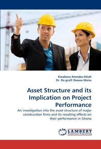 Asset Structure and Its Implication on Project Performance