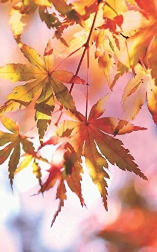 Fall Dot Grid Notebook 5 X 8 Dot Grid Journal