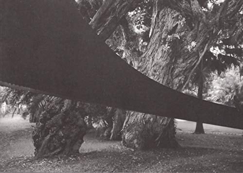 Rui Chafes Parar o Tempo