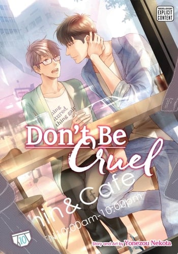 Don’t Be Cruel, Vol. 10 (Yaoi Manga)
