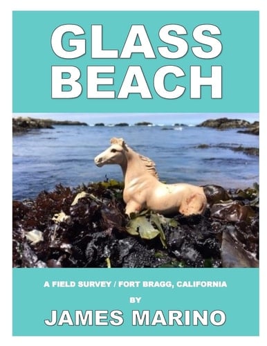 Glass Beach A Field Survey / Fort Bragg, California