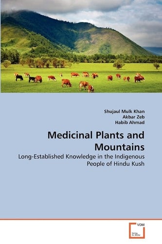 Medicinal Plants and Mountains: Long-Established Knowledge in the Indigenous People of Hindu Kush