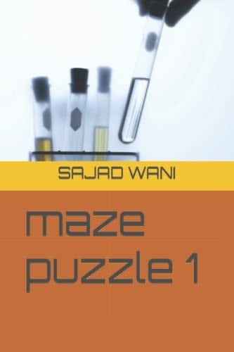 maze puzzle 1
