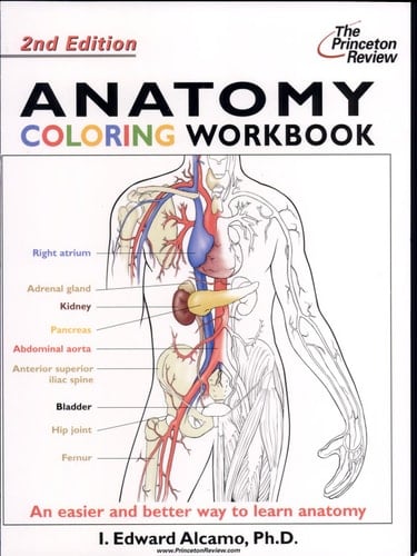 Anatomy Coloring Workbook