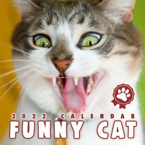 Funny Cat Calendar 2022 Squared Monthly Calendar Mini Planner January 2022 to December 2022 Bonus Last 4 Months 2021 | Gift for Cat Person and Animal Lover | Classroom, Home, Office