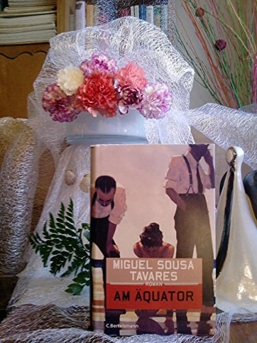 Am Äquator Roman