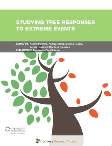 Studying Tree Responses to Extreme Events