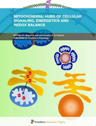 Mitochondria: Hubs of Cellular Signaling, Energetics and Redox Balance