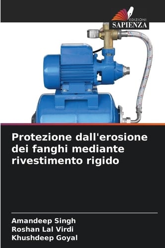 Protezione dall'erosione dei fanghi mediante rivestimento rigido (Italian Edition)