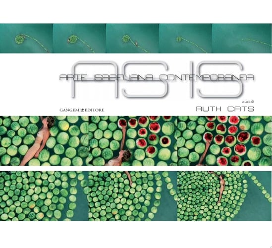 AS IS. Arte israeliana contemporanea Catalogo della mostra al Complesso del Vittoriano a Roma