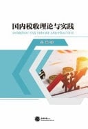 Domestic Tax Theory and Practice