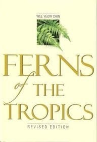 Ferns of the Tropics