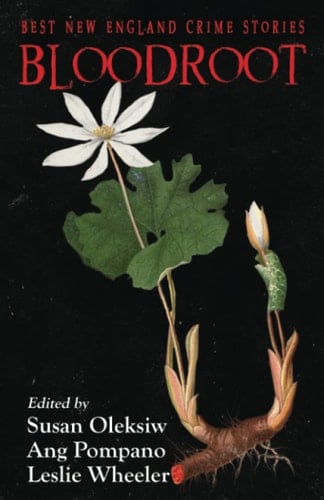 Bloodroot Best New England Crime Stories 2021