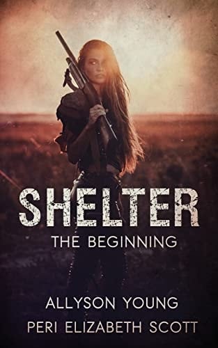 Shelter The Beginning
