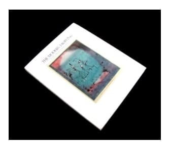 The Modern Drawing 100 Works on Paper from The Museum of Modern Art