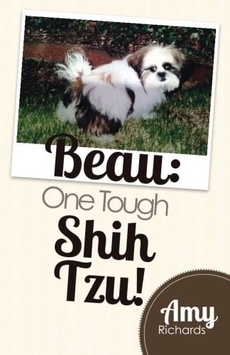 Beau: One Tough Shih Tzu