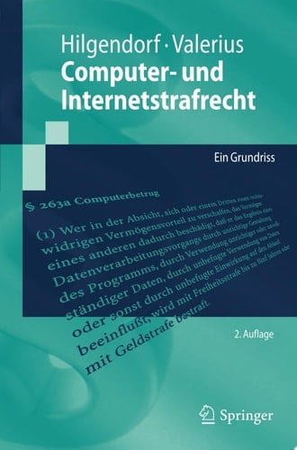 Computer- und Internetstrafrecht