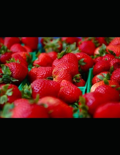 Food Law Cases and Materials