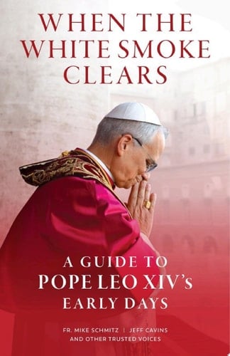 When the White Smoke Clears A Guide to Pope Leo XIV's Early Days