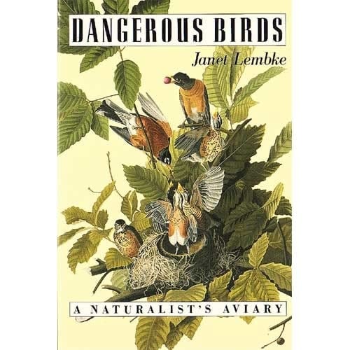 Dangerous Birds
