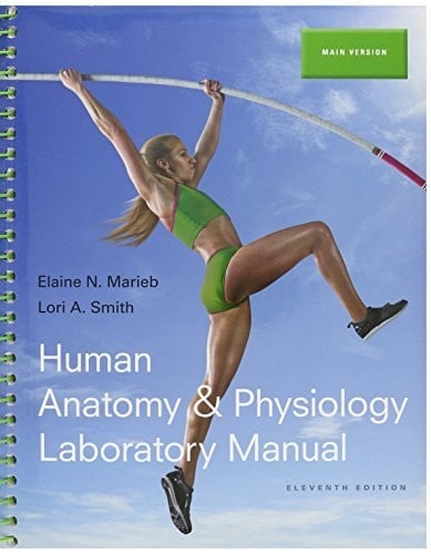 Human Anatomy & Physiology + Modified Masteringa&p With Pearson Etext + Modified Masteringa&p With Pearson Etext Main Version