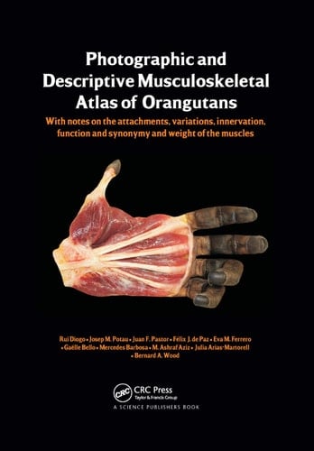 Photographic and Descriptive Musculoskeletal Atlas of Orangutans With Notes on the Attachments, Variations, Innervations, Function and Synonymy and Weight of the Muscles